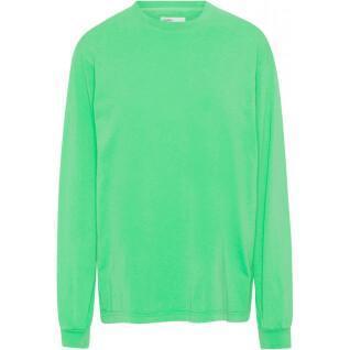 Långärmad T-shirt Colorful Standard Organic oversized spring green