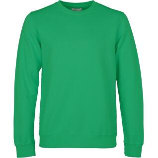 Sweatshirt med rund halsringning Colorful Standard Classic Organic kelly green