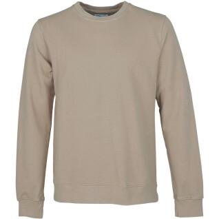 Sweatshirt med rund halsringning Colorful Standard Classic Organic oyster grey