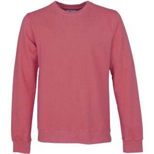 Sweatshirt med rund halsringning Colorful Standard Classic Organic raspberry pink