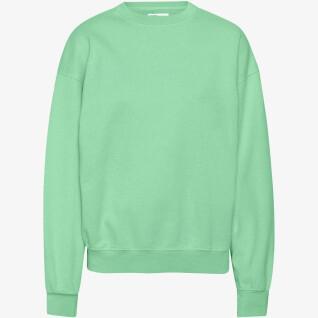 Sweatshirt med rund halsringning Colorful Standard Organic oversized faded mint