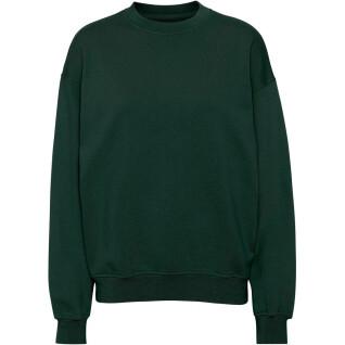 Sweatshirt med rund halsringning Colorful Standard Organic oversized hunter green